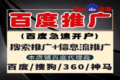 SEO与百度推广结合的营销策略——经典案例解析